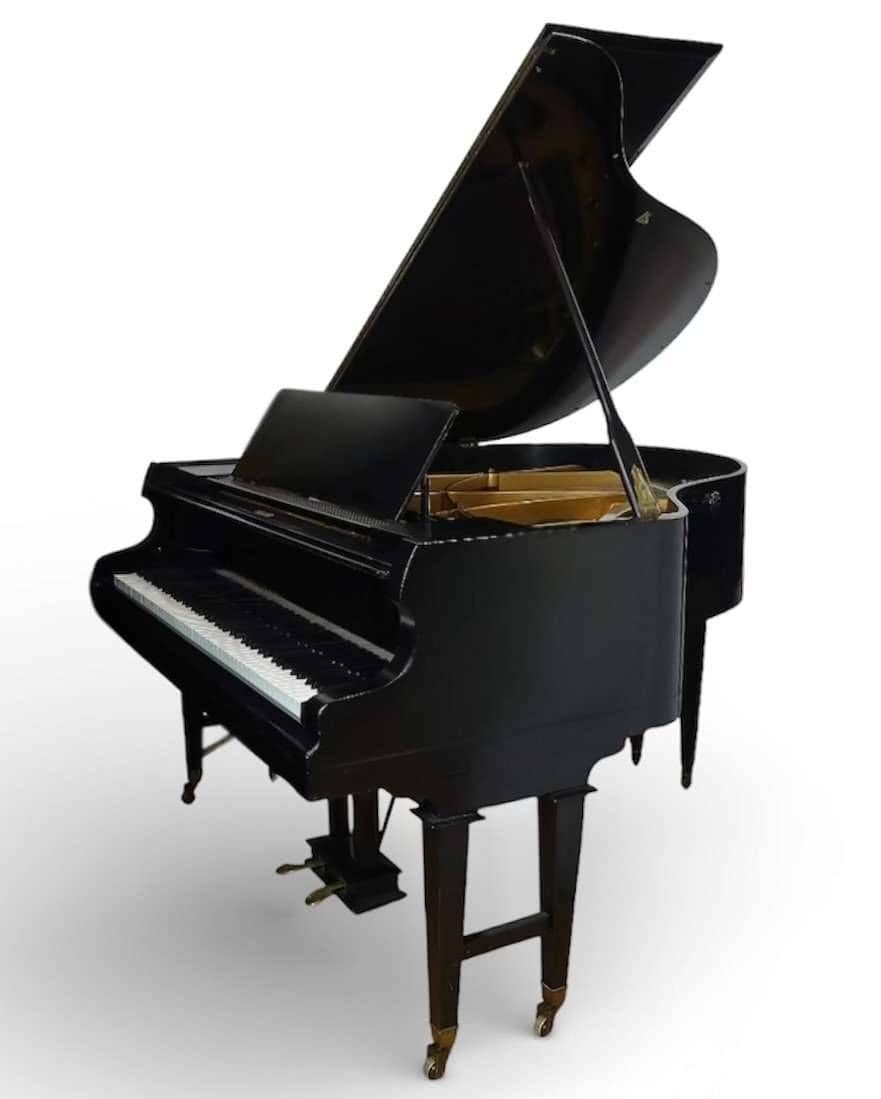salonní křídlo