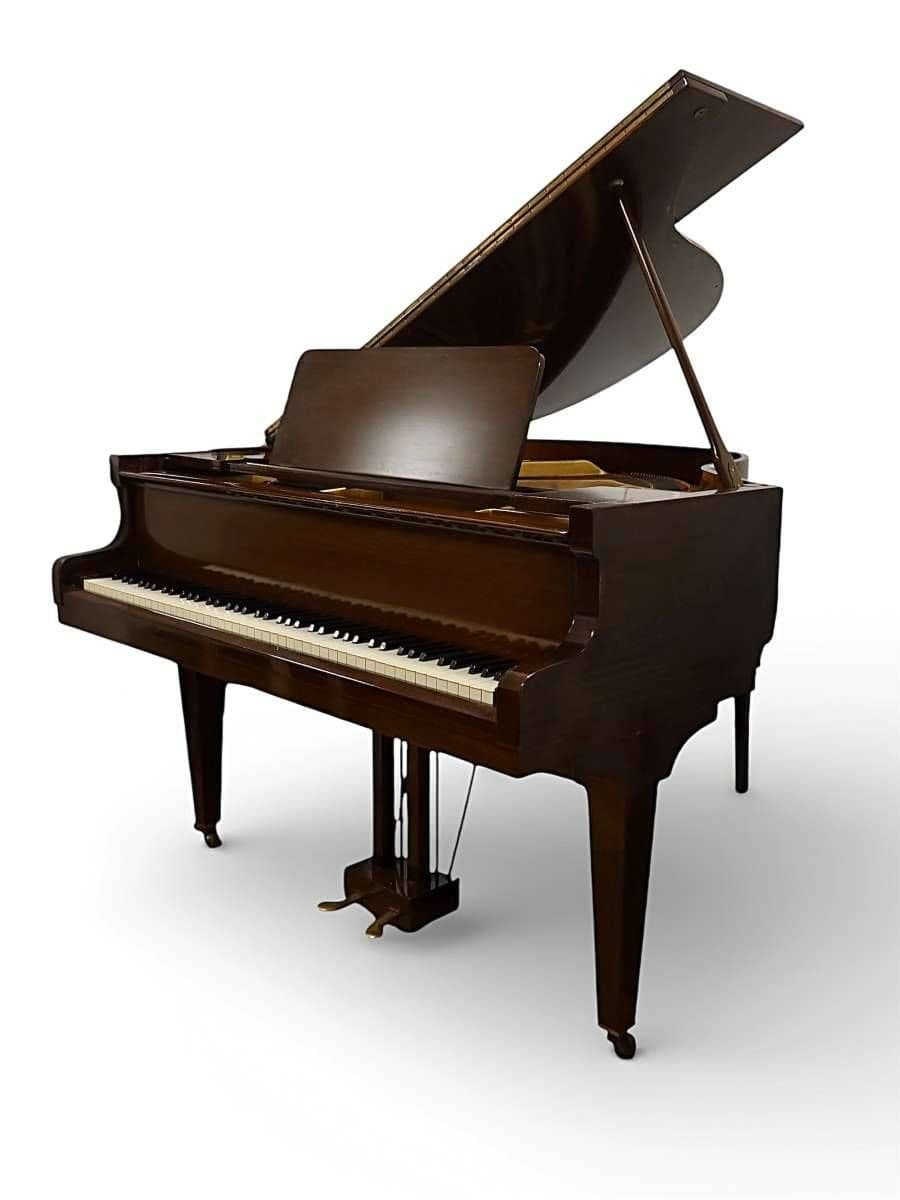 Danemann 157 cm