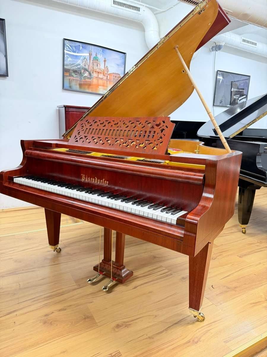 Model 5