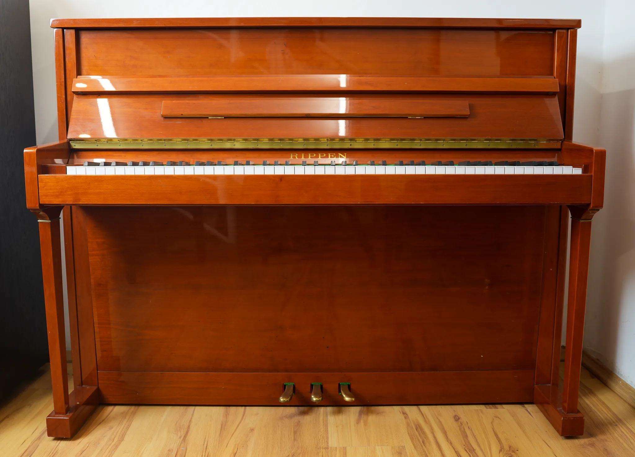 Rippen Model Allegro