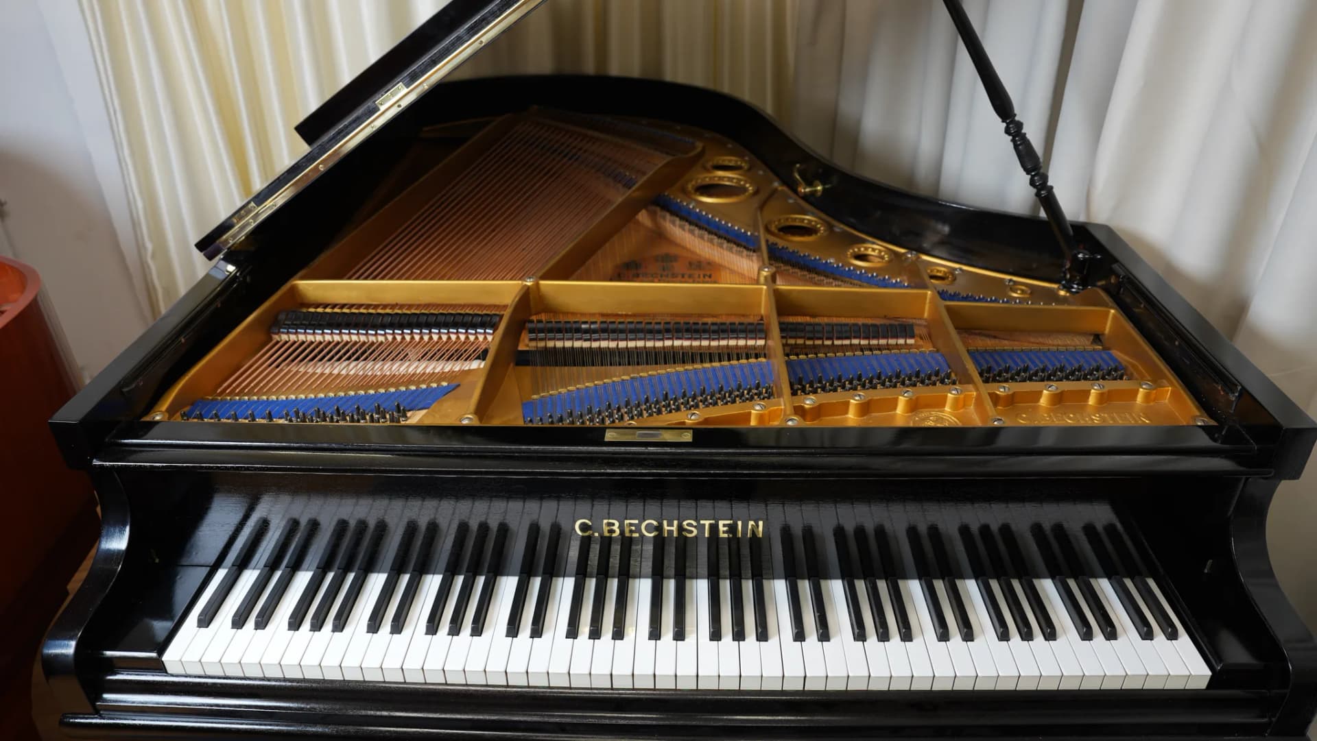 C. Bechstein A