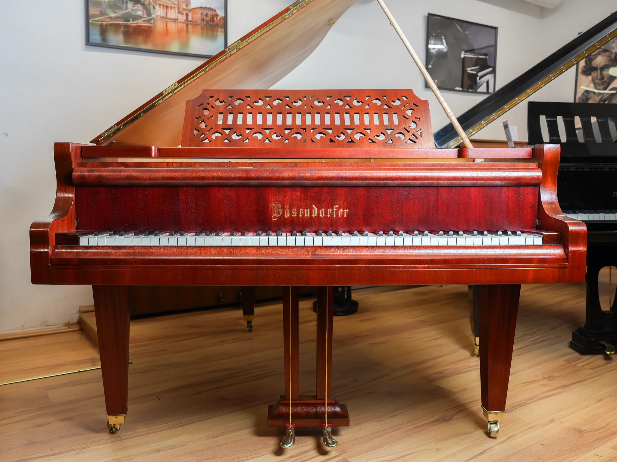 Bösendorfer Modello 5