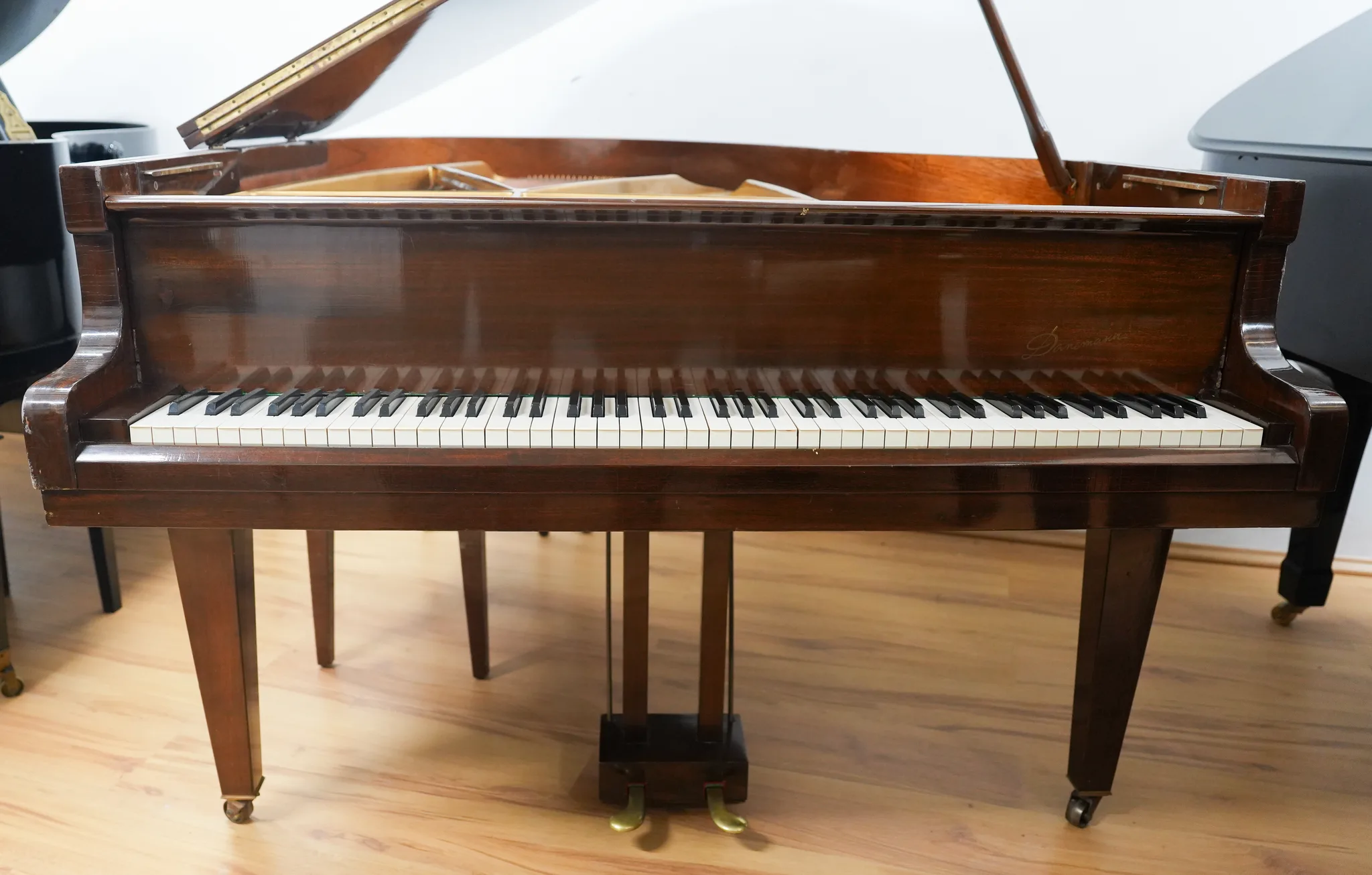 Danemann Modell 157