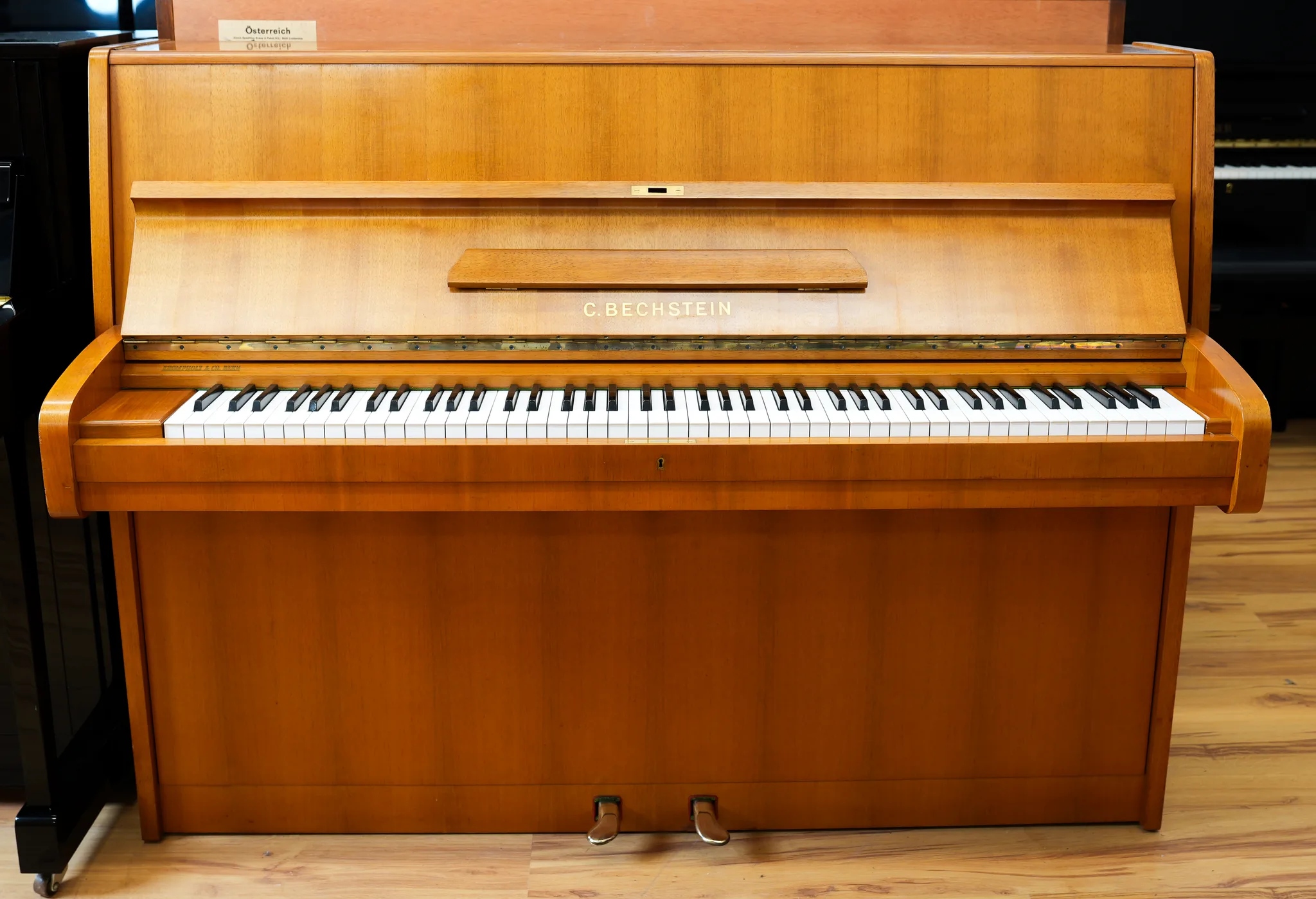 C. Bechstein Μοντέλο 113